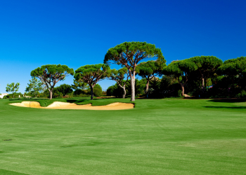 Course poursuite : la cavale se termine sur un green de golf